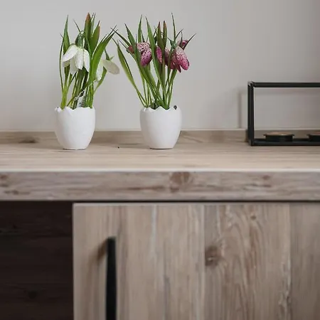 Bed & Breakfast Sky Čilipi